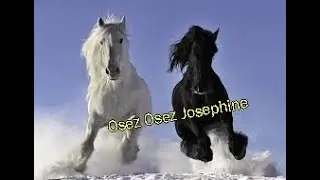 osez osez josephine 2024 cover