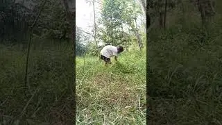 pemain panglima ruwet lagi ngaret