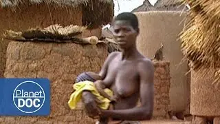 The Female Sex: Women and Females (Part 3) - Planet Doc