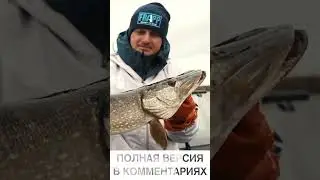 Hot Spot Pike. Шоу-турнир по ловле щуки на спиннинг. Эпизод 4. Ссылка на полное видео в описании