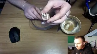 10-й ЖИВОЙ ГОМУНКУЛ ► 30 ДНЕЙ ►Живой Гомункул !!!!!!Жуть !!!!!