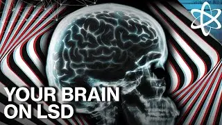 Why Does LSD Do Amazing & Terrible Things To Your Brain?