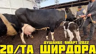 ГОВИ ГУСАЛАДОР ОЧА БАЧА ШИРТЕ МОЛБОЗОРИ ДУШАНБЕ ЛЕНСКИЕ РАЙОН НАРХО ИМРУЗ ЧИХЕЛ БОШАД 2022 9 март