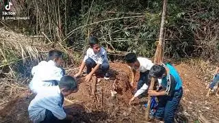 Budidaya Jagung Hibrida di Kebun SMP negeri 2 Malingping