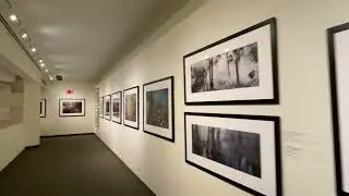 Discover "Karen Glaser: Springs and Swamps"