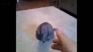 Если ты засмеешься то ты псих