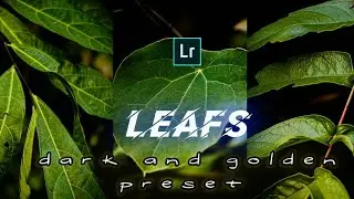 yellow tone || lightroom preset|| how to edit golden preset in lightroom