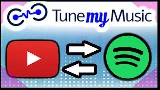 🎧 Tunemymusic | Passing music between platforms