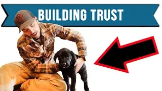 How To Build A Better Relationship With Your Dog