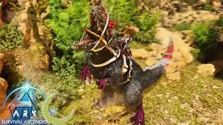 #13【ASA】ASAで最有能進化を遂げたオヴィラプトル＆ユウティでキブルシステムを作ろー【PC版公式PVE：ARK: Survival Ascended】