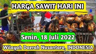 HARGA SAWIT HARI INI, TERBARU 18 JULI 2022 Wilayah Daerah Nusantara INDONESIA