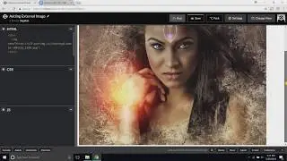 How to add external image to Codepen.io