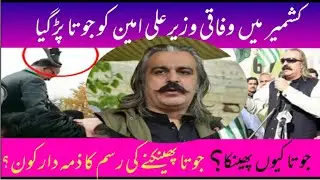 وفاقی وزیر علی امین کو جوتا پڑ گیا