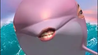 ELECTRO DOLPHIN