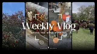 Fall Vlog | Going To The Farm | Farmers Market