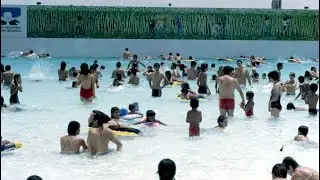 History of the Sugar Cane Water Park