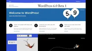 WordPress 6.0 Beta Version को Testing के लिए कैसे Install करें ?  WordPress 6.0 is now available
