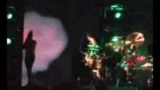 Tool - The Pot (Live)
