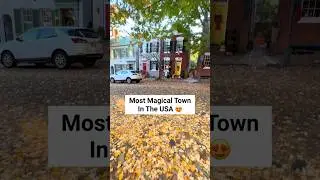 📍Alexandria, Virginia! #alexandria #alexandriava #washingtondc #smalltowns #virginia