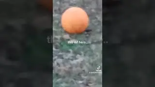 depression and basketball