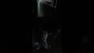 Don't stop believing parody lol