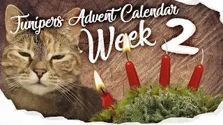 Junipers Advent Calendar 2 - Week 2 🕯