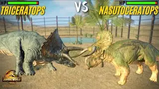 Triceratops vs Nasutoceratops - Who is Stronger? Jurassic World Evolution 2 | JWE2