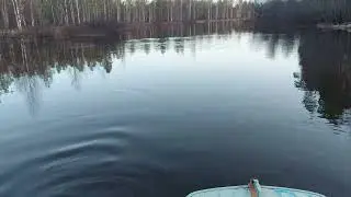 ЯЗЬ НА ИКРОМЁТЕ