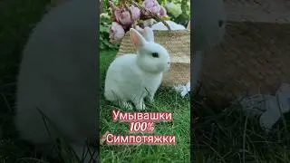 100% симпотяга умывается ❤️