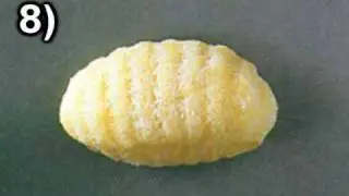 Top 10 Pasta Types