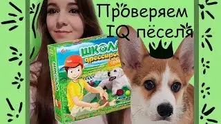 САМЫЙ УМНЫЙ ПЁСЕЛЬ ИН ЗЕ ВОРЛД