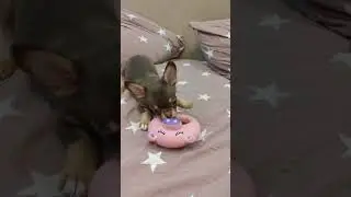 👀Не пройдет теперь ВОЙСКО темное! 