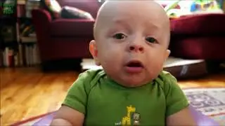 Top 10 funny babes video