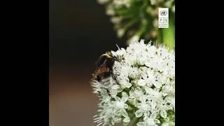 Las crisis de la naturaleza y el clima están transitando de manera muy rápida a la realidad.