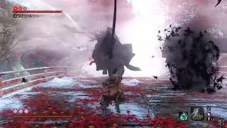 True Monk VS 2500 Hours Sekiro 【Perfect Execution】