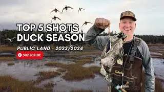 Top 5 Shots From Duck Season | 2023/2024 Waterfowl Hunting