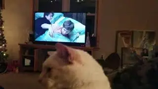 Oh, that's the spot!