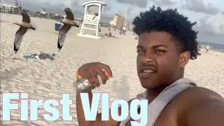 I WAS ATTACKED BY SEAGULLS... Vlog