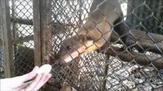 Кормим всех )))