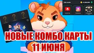 НОВОЕ КОМБО В ХАМСТЕР КОМБАТ от 11.06! ОТКРЫЛ ВСЕ комбо карты в Hamster Kombat 