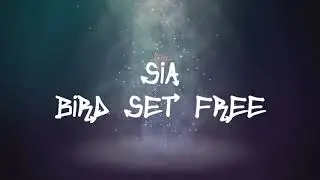 Sia - Bird Set Free (Lyrics)
