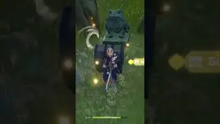 Genshin Impact Secret Chest Part 14