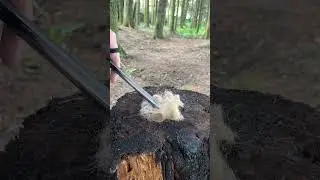 Best Ways to Use a Ferro Rod!🔥 - SWISS ARMY KNIFE SAW #shorts  #edc #pocketcarry