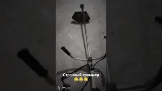 14 июня 2024 г.
