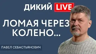 Операция «залечь на дно». Павел Себастьянович. Дикий LIVE.