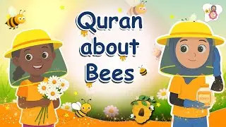 What Does Islam Say About Bees Making Honey From Nectar?