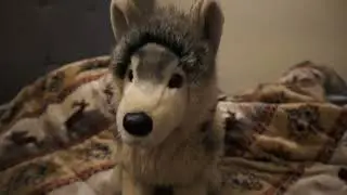 Douglas Cuddle Toys Smoke Wolf floppy plush