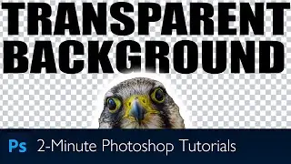 How To Save In Photoshop With Transparent Background | Photoshop Tutorial