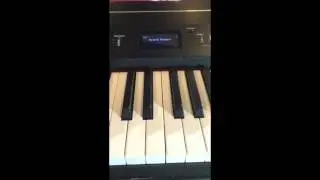 Melodislinga Born in the USA