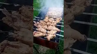 30 июня 2024 г.
